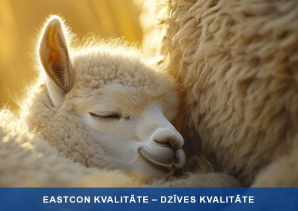 0001_wolle_small_1750686502-8904b92c64508306baa631d64960c98a.jpg